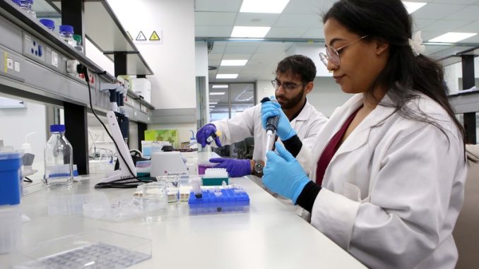 lab