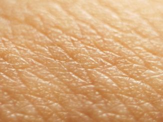3d skin